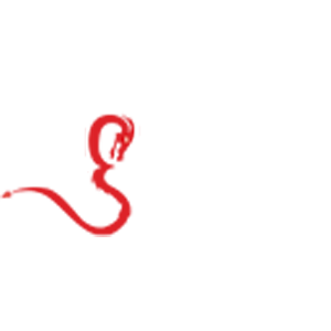 Sponsor Logo - Dragonboat Initiative