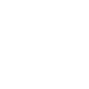 Sponsor Logo - Trouble Brewing